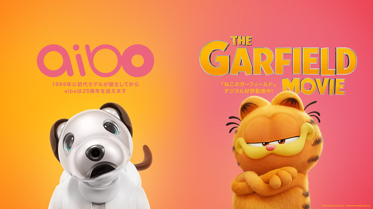 aibo